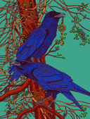 Животные-целители — фото, картинка — 8