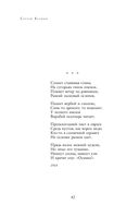 Полное собрание лирики в одном томе — фото, картинка — 40