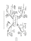 Всемирная история Нового времени, XVI-XVIII вв., в схемах, таблицах и иллюстрациях. 7 класс — фото, картинка — 3