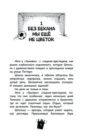 И вот все уже в Бразилии! — фото, картинка — 9