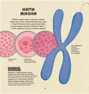 Живое — фото, картинка — 3