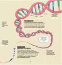 Живое — фото, картинка — 4