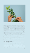 Цветы для букета. Справочник срезанных цветов для начинающего флориста — фото, картинка — 12