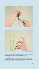 Цветы для букета. Справочник срезанных цветов для начинающего флориста — фото, картинка — 14