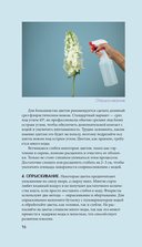 Цветы для букета. Справочник срезанных цветов для начинающего флориста — фото, картинка — 15