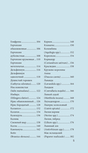 Цветы для букета. Справочник срезанных цветов для начинающего флориста — фото, картинка — 5