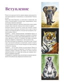 Школа рисования. Дикие животные акварелью — фото, картинка — 2