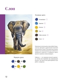 Школа рисования. Дикие животные акварелью — фото, картинка — 5