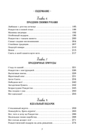 Куриный бульон для души. Дух Рождества — фото, картинка — 16