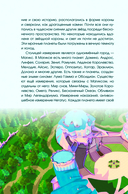 Winx. Волшебство внутри. Официальный активити-гид по миру Винкс — фото, картинка — 14