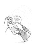 Давай поЧИРИКаем. Как понять язык попугая — фото, картинка — 12