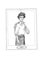 Принц-сокол — фото, картинка — 10