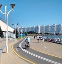 Велосипед. Самый экономичный вид транспорта — фото, картинка — 4