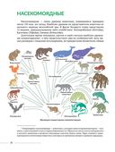 Животные леса. Насекомоядные Беларуси — фото, картинка — 3