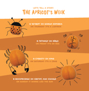 Что это? — фото, картинка — 6