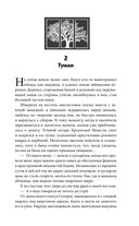 Рубиновый лес — фото, картинка — 42