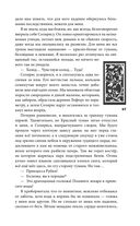 Рубиновый лес — фото, картинка — 66