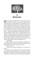 Рубиновый лес — фото, картинка — 74