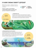 Тайны деревьев — фото, картинка — 4