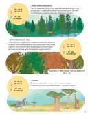 Тайны деревьев — фото, картинка — 5