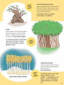 Тайны деревьев — фото, картинка — 6