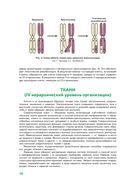 Анатомия человека — фото, картинка — 14
