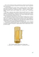 Анатомия человека — фото, картинка — 21