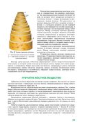 Анатомия человека — фото, картинка — 23