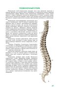 Анатомия человека — фото, картинка — 27