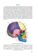 Анатомия человека — фото, картинка — 35
