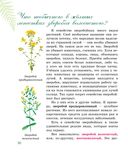 Рассказы о растениях Красной книги Республики Беларусь — фото, картинка — 3