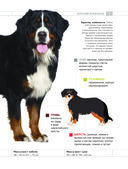 Определитель собак. Физические характеристики и особеннности породы — фото, картинка — 6