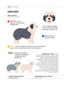Определитель собак. Физические характеристики и особеннности породы — фото, картинка — 7