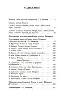 Слово о полку Игореве — фото, картинка — 23