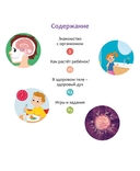 Как устроено тело человека — фото, картинка — 1