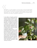 Заклинатель комнатных растений. Секретные лайфхаки от профессионального цветовода — фото, картинка — 10