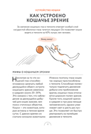 Чего хотят кошки. Японский бестселлер по воспитанию усатых малышей — фото, картинка — 12