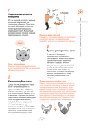 Чего хотят кошки. Японский бестселлер по воспитанию усатых малышей — фото, картинка — 13