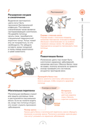 Чего хотят кошки. Японский бестселлер по воспитанию усатых малышей — фото, картинка — 15