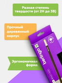 Набор карандашей чернографитных 