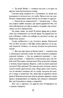 Дикие лебеди — фото, картинка — 21