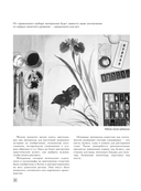 Искусство Японии. Живопись тушью суми-э — фото, картинка — 9