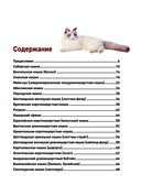 Кошки. Самые известные породы — фото, картинка — 2