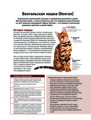 Кошки. Самые известные породы — фото, картинка — 13