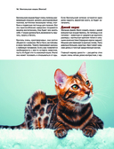 Кошки. Самые известные породы — фото, картинка — 15