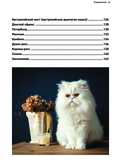 Кошки. Самые известные породы — фото, картинка — 4