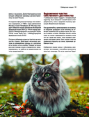 Кошки. Самые известные породы — фото, картинка — 10