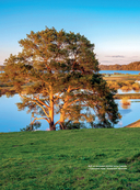 Псков. Самые интересные места — фото, картинка — 6