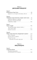 Новые законы денег от Самого Богатого Человека в Вавилоне — фото, картинка — 7