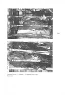 Все и ничто. Символические фигуры в искусстве второй половины ХХ века — фото, картинка — 6